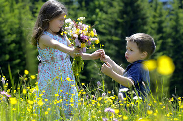 Mädchen und kleiner Junge mit Blumenstrauß auf einer Sommerwiese - WESTF01411