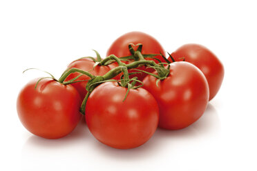 Frische Tomaten - 04318CS-U