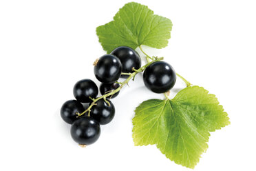 Schwarze Johannisbeeren mit Blatt, Nahaufnahme - 04235CS-U