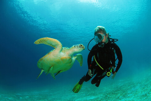 Philippines, scuba diver with green turle, underwater view - GNF00798