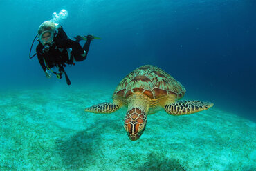 Philippinen, Taucher mit grüner Schildkröte - GNF00794