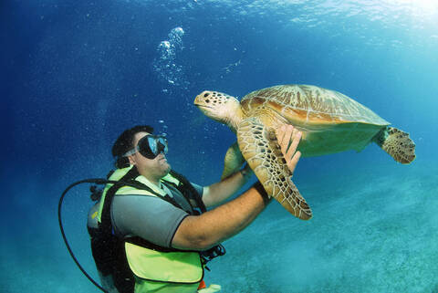 Philippinen, Taucher mit grüner Schildkröte, Unterwasseransicht, lizenzfreies Stockfoto