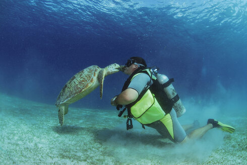 Philippinen, Taucher mit grüner Schildkröte, Unterwasseransicht - GNF00775