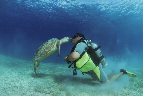 Philippines, scuba diver with green turle, underwater view - GNF00775