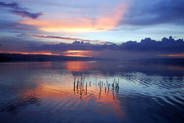 Philippines, Panglao, dawn in lagoon - GNF00764