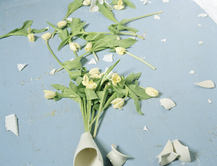 Zerbrochene Vase und Blumen auf dem Boden - DBF00002