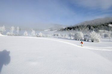 Woman cross-country skiing - HHF00495