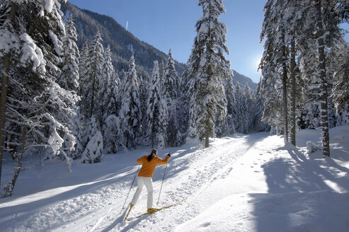 Frau beim Skilanglauf, Rückansicht - HHF00494