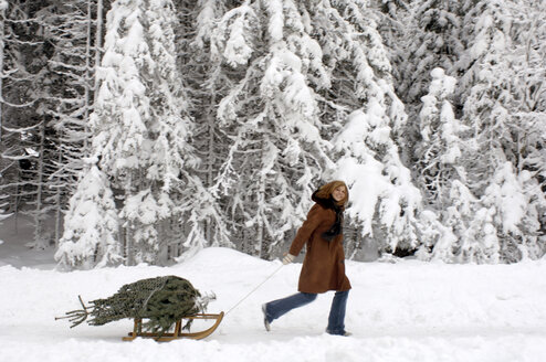 Junge Frau, die einen Schlitten mit Weihnachtsbaum zieht, lächelnd, Seitenansicht - HHF00463