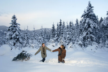 Couple walking in snow, carrying christmas tree - HHF00454