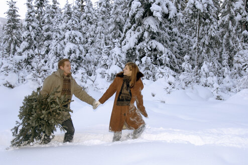 Junges Paar trägt Weihnachtsbaum im Schnee - HHF00453
