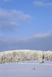 Deutschland, Bayern, Fürstenfeldbruck, Spaziergänger in verschneiter Landschaft - LFF00007