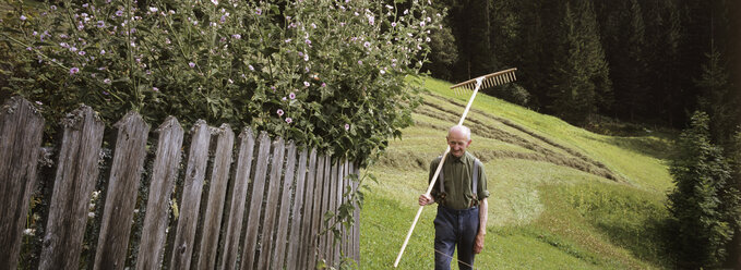Älterer Mann im Garten stehend mit Harke über der Schulter - HHF00644