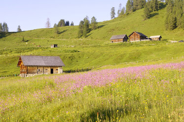 Österreich, Alpine Lodge in Meadow - HHF00575