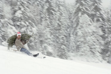 Man riding on sledge, carrying Christmas tree - HHF00550