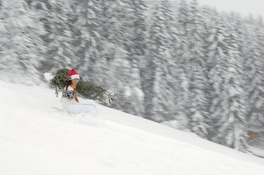 Woman riding on sledge, carrying Christmas tree - HHF00546