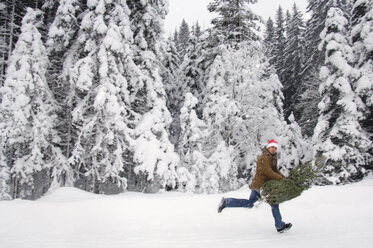 Man in snow, carrying Christmas tree - HHF00528