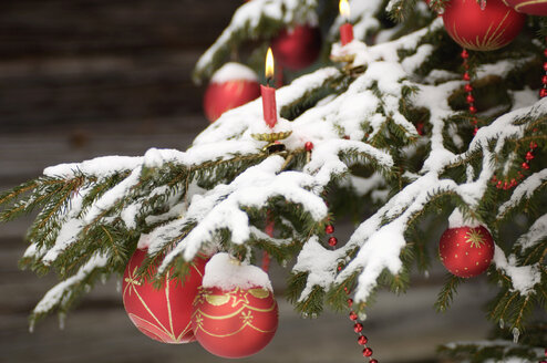 Mit Schnee bedeckter Weihnachtsbaum, Nahaufnahme - HHF00517