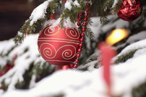 Mit Schnee bedeckter Weihnachtsbaum, Nahaufnahme - HHF00516