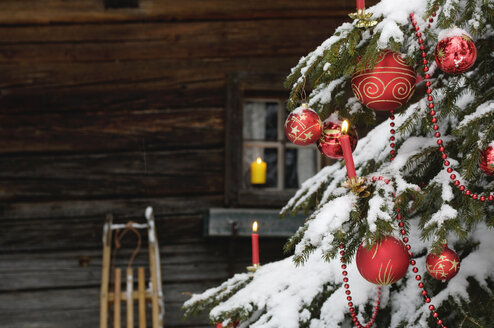 Mit Schnee bedeckter Weihnachtsbaum, Nahaufnahme - HHF00515