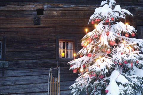 Christmas tree covered with snow, close-up stock photo