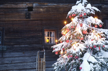 Mit Schnee bedeckter Weihnachtsbaum, Nahaufnahme - HHF00514