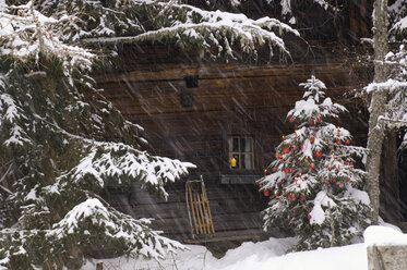 Weihnachtsbaum mit Schnee bedeckt - HHF00513