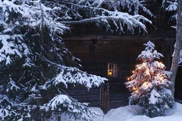 Weihnachtsbaum mit Schnee bedeckt - HHF00512