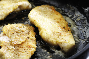 Red fish filet fried in pan, close-up - 04763CS-U