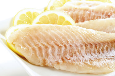 Filets of redfish, uncooked - 04759CS-U