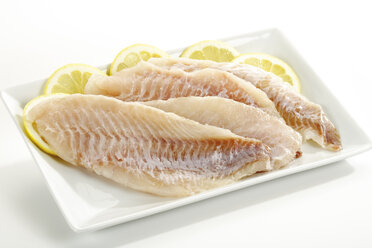 Filets of redfish, uncooked - 04758CS-U