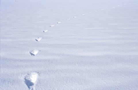 Fußstapfen im Schnee, lizenzfreies Stockfoto