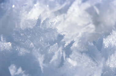 Snowflakes, close-up - NHF00146