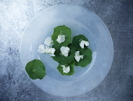 Nasturtium leaves and blossoms on plate, elevated view - HOEF00212