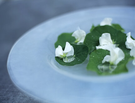 Nasturtium leaves and blossoms on plate - HOEF00211