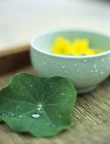 Nasturtium leaf and bowl with dahlia stock photo