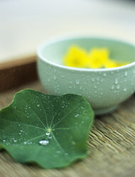 Nasturtium leaf and bowl with dahlia - HOE00249