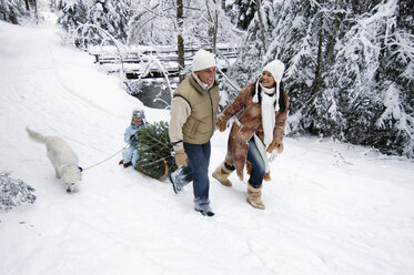 Austria, Salzburger Land, family with dog and Christmas tree on sledge - HHF00729