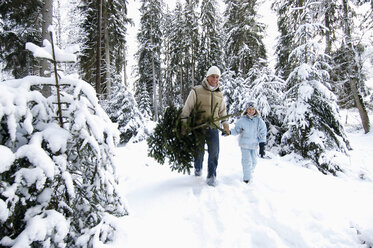 Austria, Salzburger Land, father and son (6-7) carrying Christmas tree - HHF00725