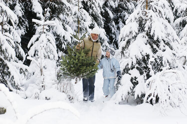 Austria, Salzburger Land, father and son (6-7) carrying Christmas tree - HHF00721