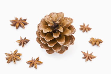 Fir cone and star-anise - GWF00321