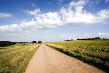 Deutschland, Weg in die Landschaft - 04961CS-U