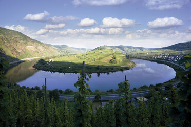 Deutschland, Mosel bei Bremm - 04952CS-U