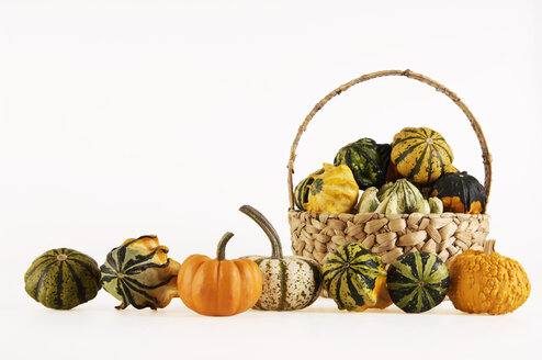 Ornamental pumpkins - 00140LR-U