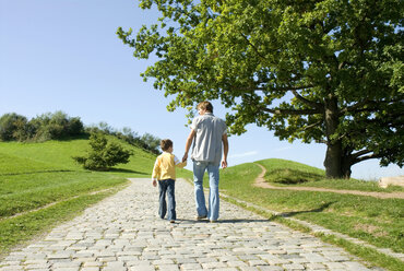 Father and son walking hand in hand, rear view - WESTF02256