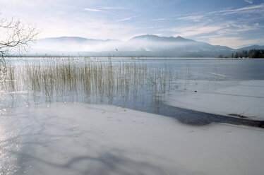 Deutschland, Bayern, Staffelsee - UMF00139