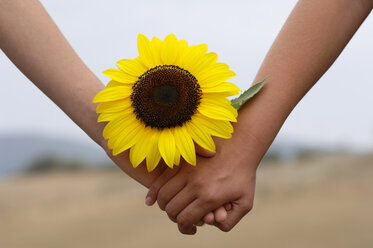 Händchenhalten mit Sonnenblume - CRF00951