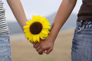 Holding hands with sunflower, close-up - CRF00950