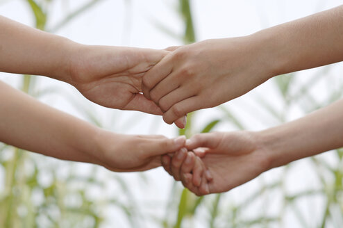 Holding hands, close-up - CRF00945