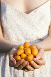 Frau hält Kumquat-Früchte, Nahaufnahme - NDF00051